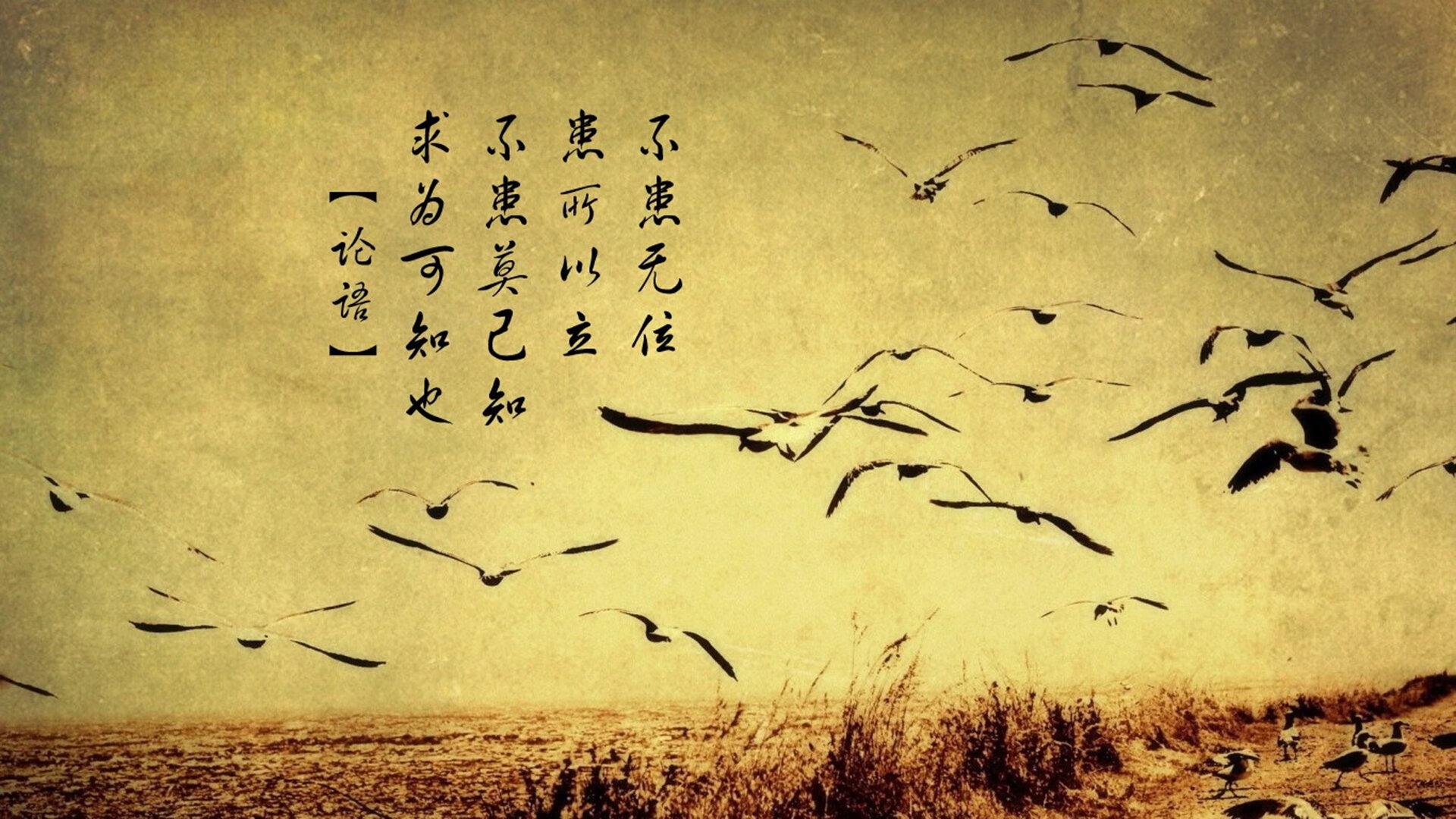 “弯道飞转:漂移艺术的极限展现”,弯道漂移表情包