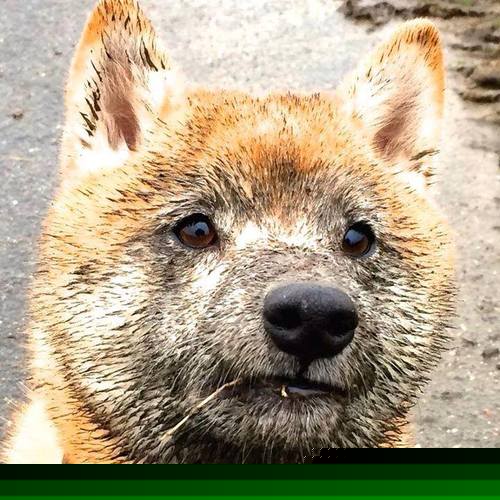 传统名族体育跳长绳比赛,传承文化的欢乐盛典,跳长绳游戏规则