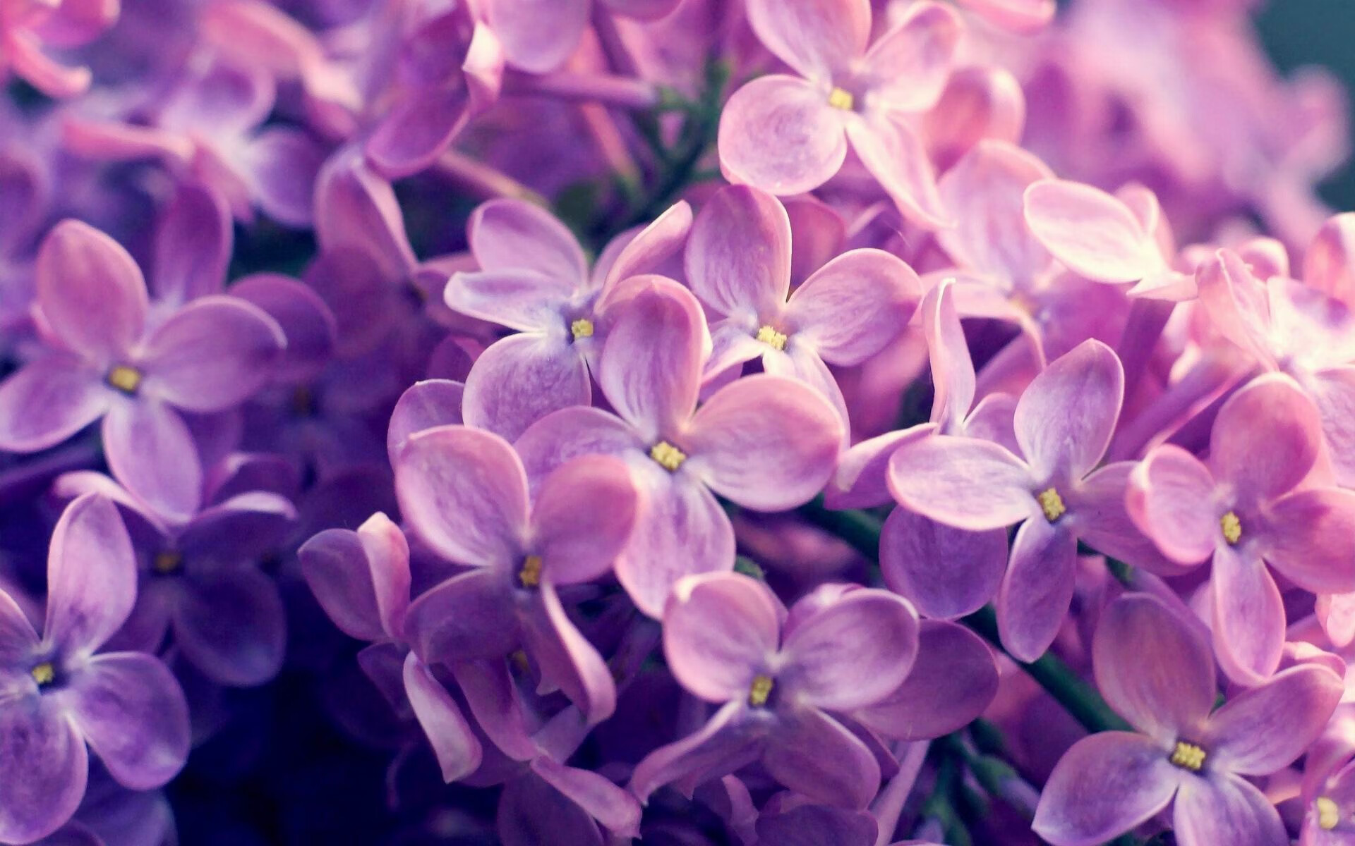 史诗级“欧冠决战”:悬念与激情同在,欧冠决赛爆冷