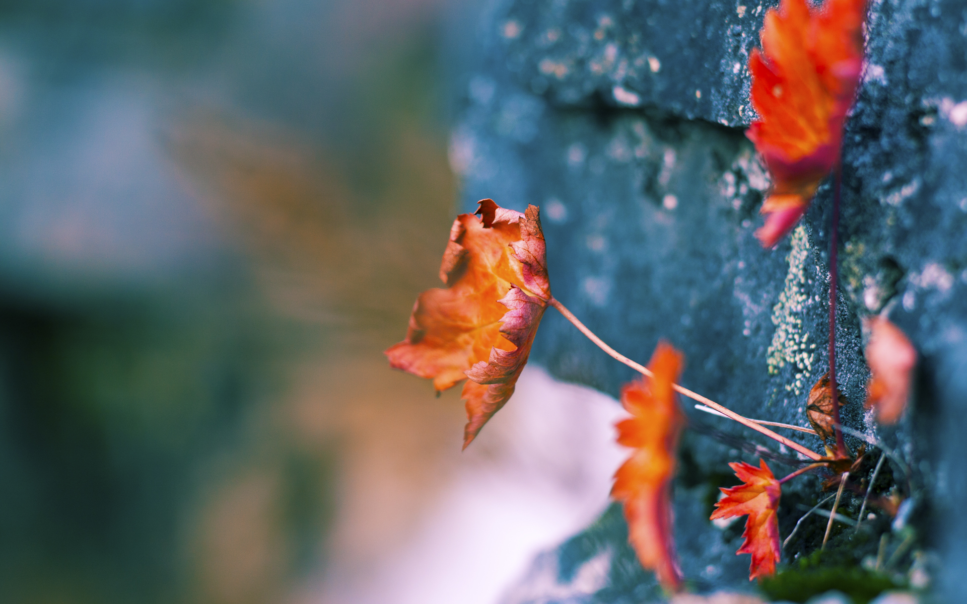 媒体专访：台球运动的未来听我说，台球未来的发展